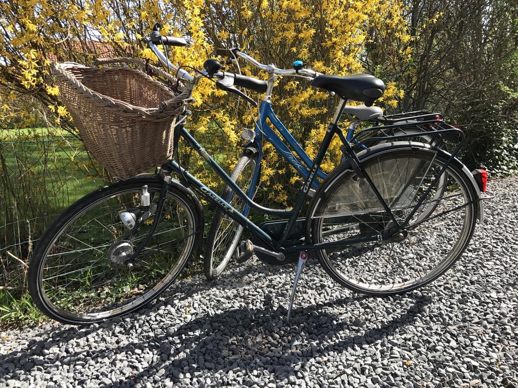 Heerlijk Dijkhuisje In Paal